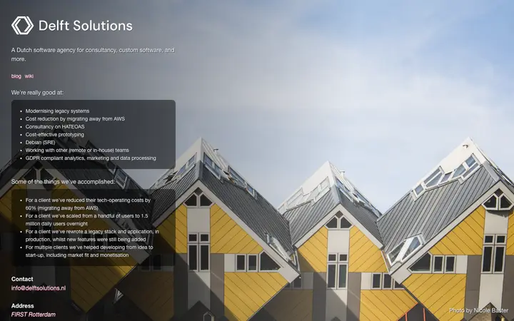 delftsolutions.nl homepage on desktop