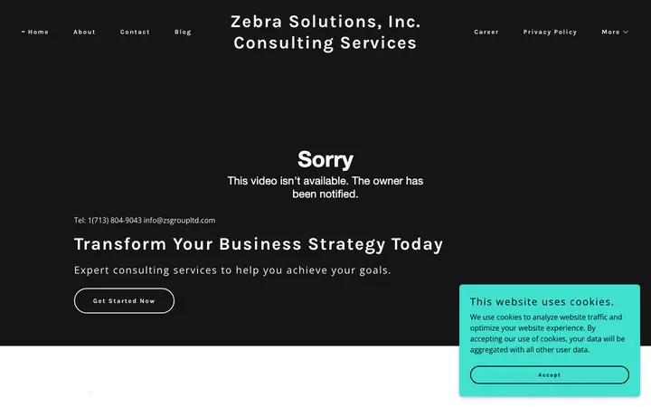 zsgroupltd.com homepage