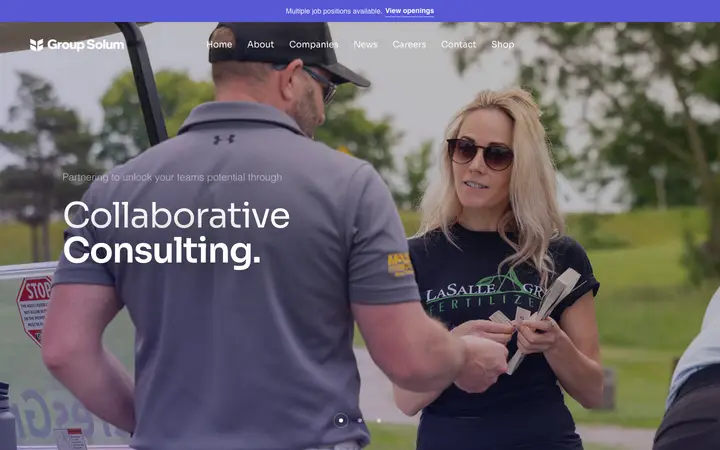 groupsolum.com homepage