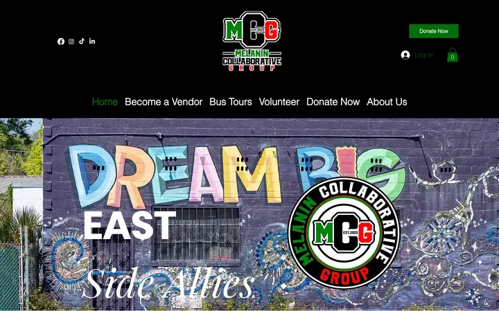 melanincollaborativegroup.org homepage