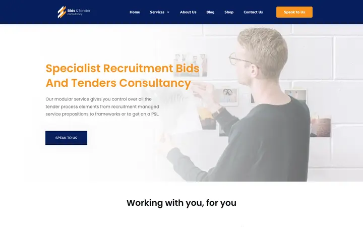 bidsandtendersconsultancy.co.uk homepage