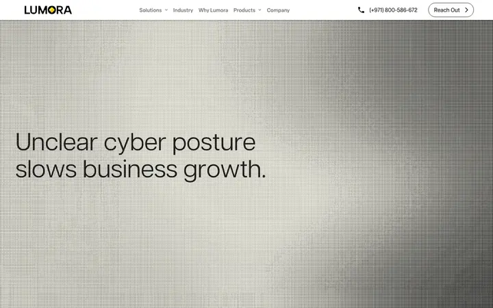 lumorasecurity.com homepage