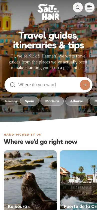 saltinourhair.com homepage on mobile